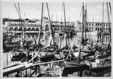 Verdesi Enrico - Roma - Biblioteca-Archivio Rodi Egeo